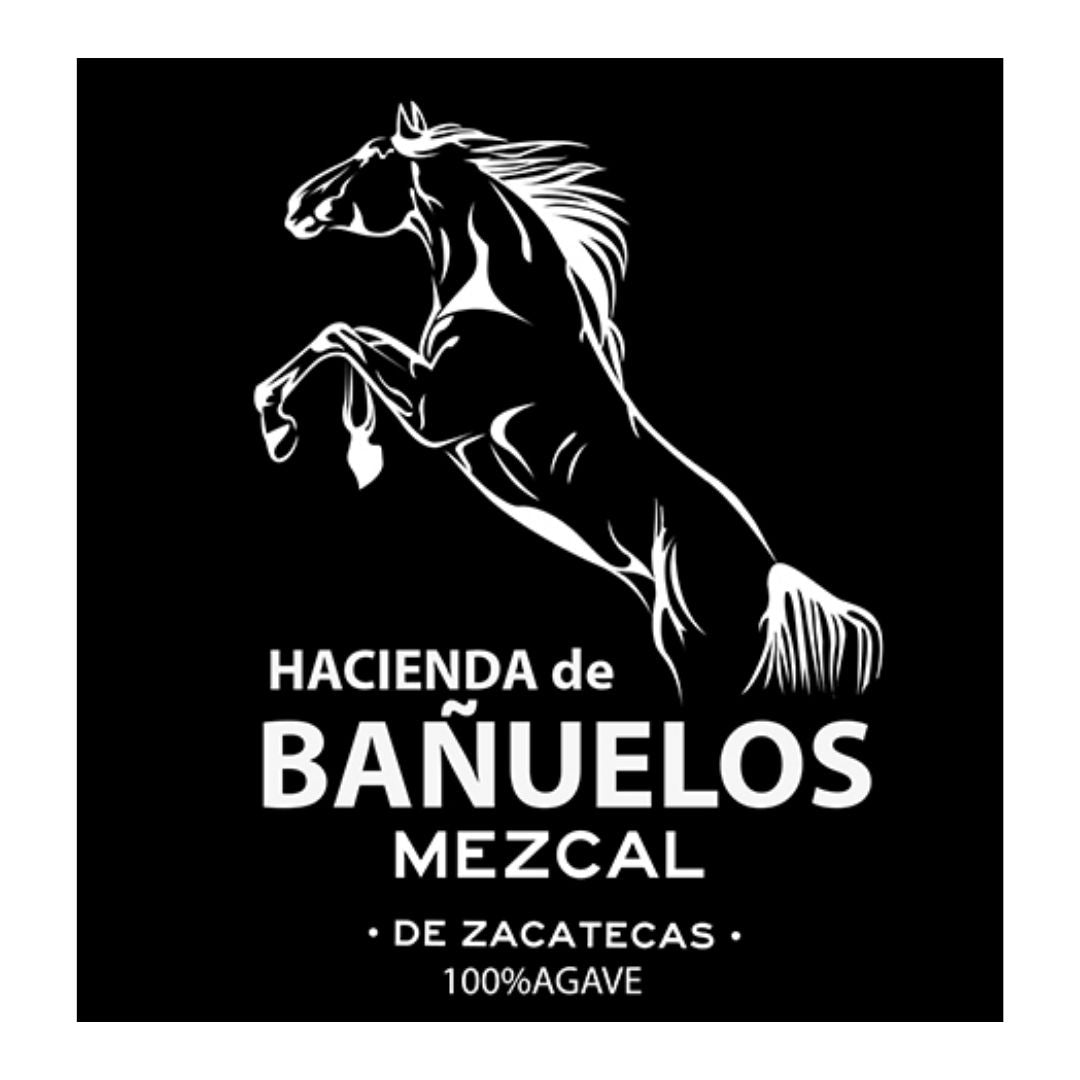 Hacienda De Bañuelos